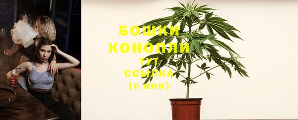 винт Белокуриха